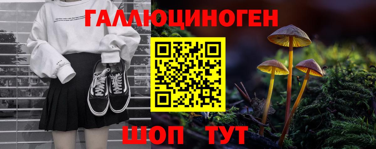 Псилоцибиновые грибы прущие грибы Томск